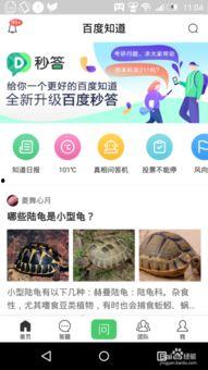 九一网页版免费在线电脑网页版,免费在线电脑网页版深度解析